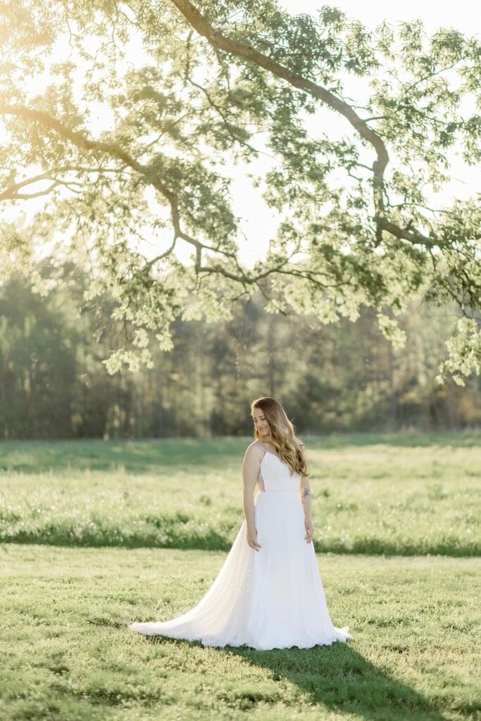 Bridal portrait under a large tree on a sunny summer day
